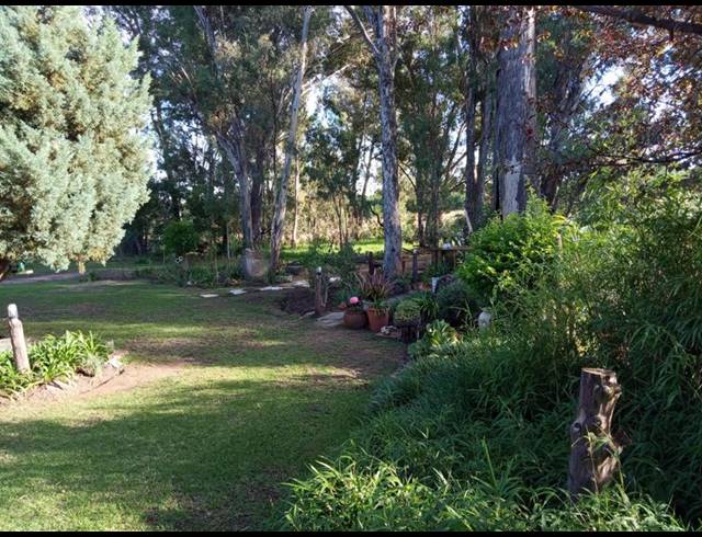 FARM FOR SALE IN RIETFONTEIN